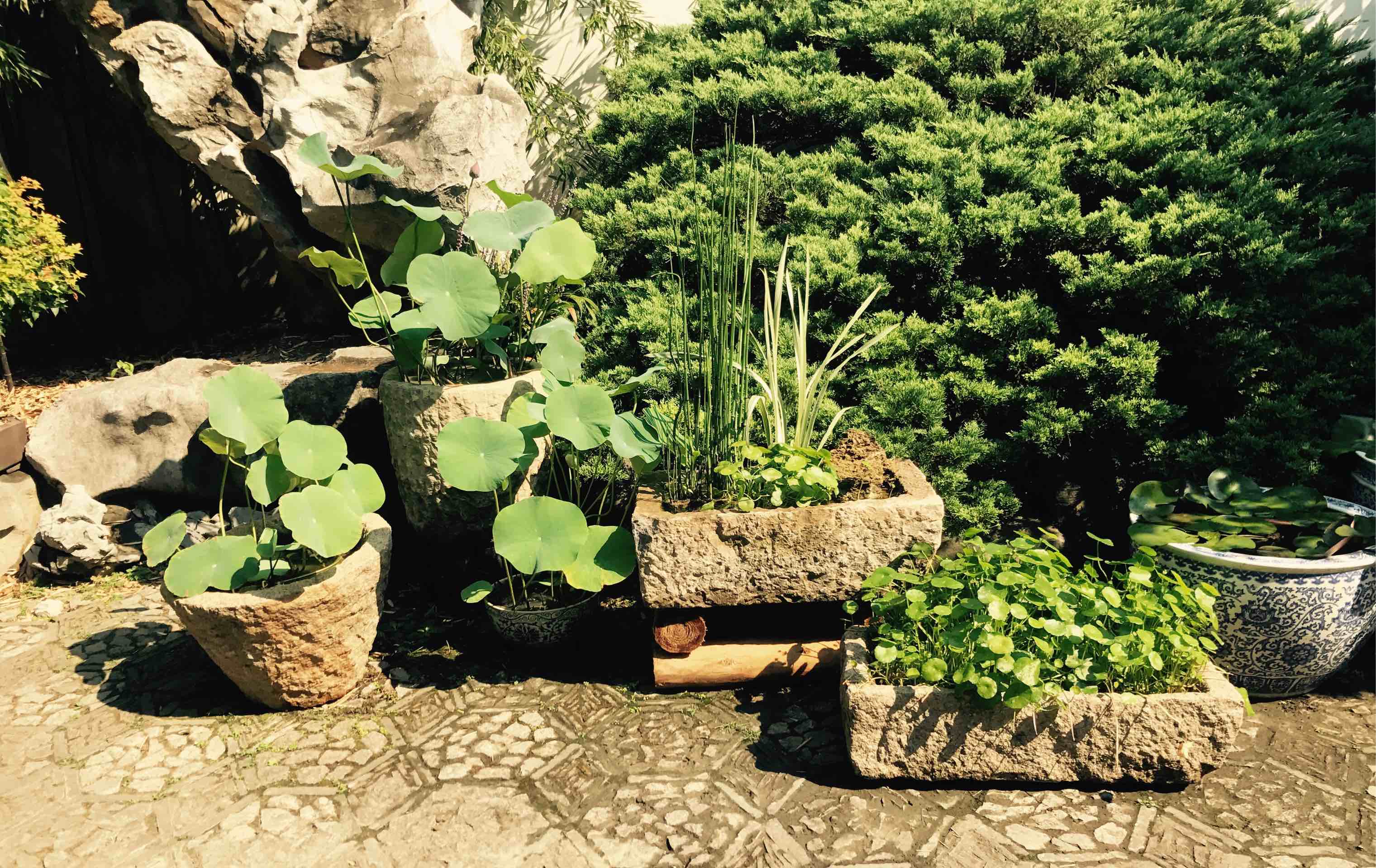 古猗园石槽景观古韵雅致