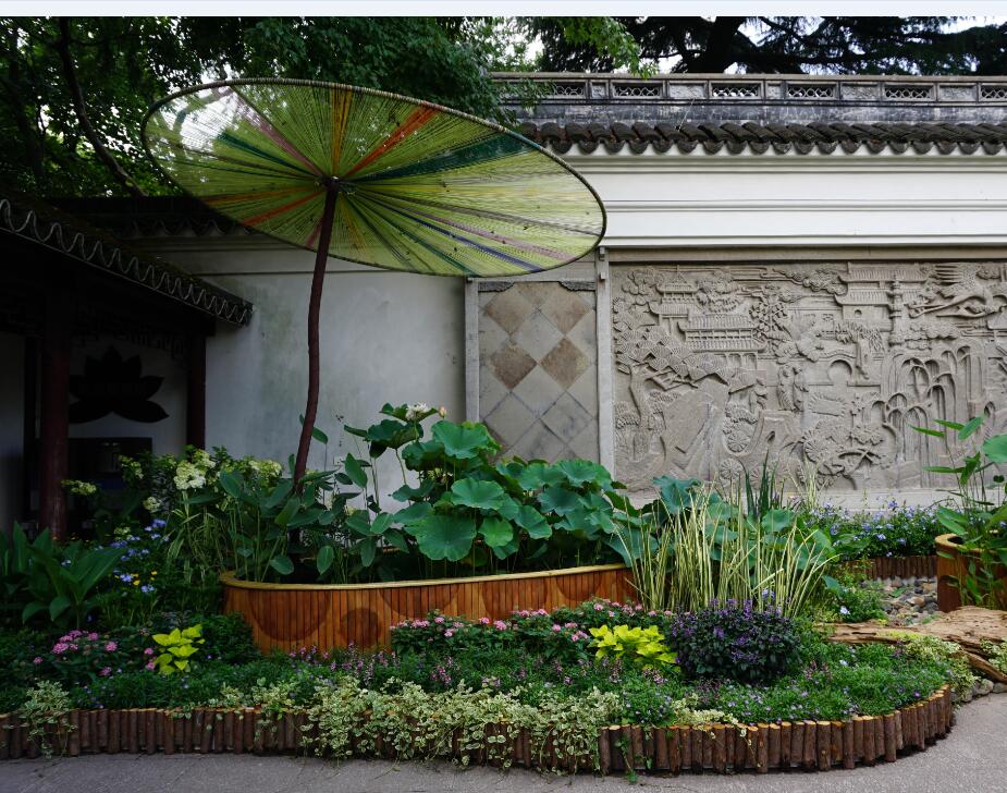 又到了新一年的上海荷花睡莲展,走进古猗园南门,映入游客眼帘的是位于